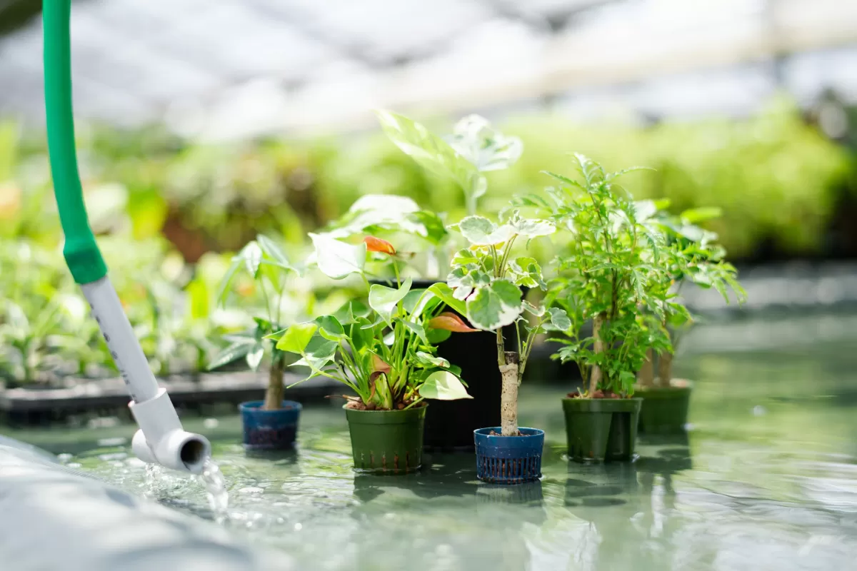 有限会社 三浦園芸