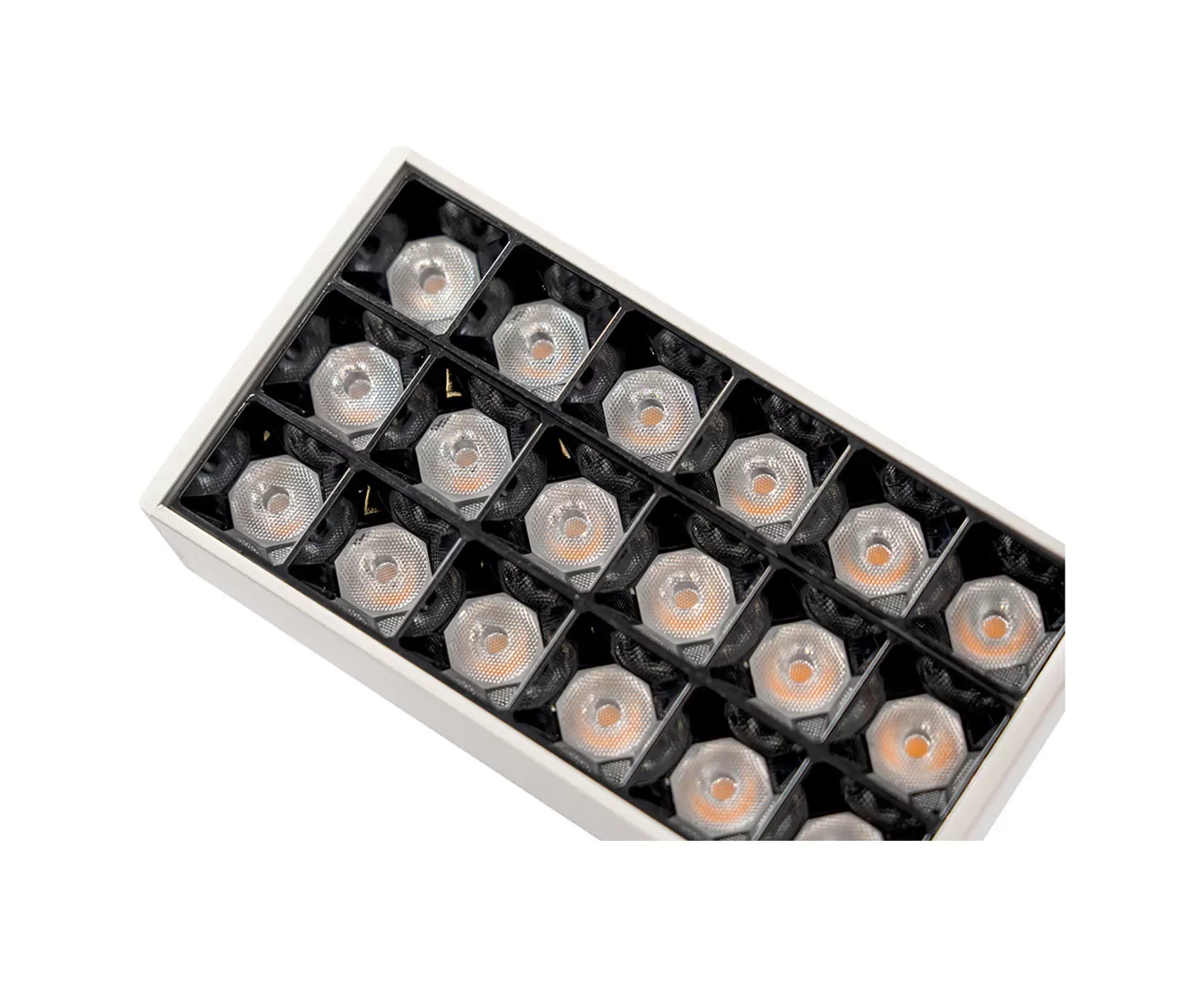 003390 LED SPOT LIGHT for PLANTS 10W