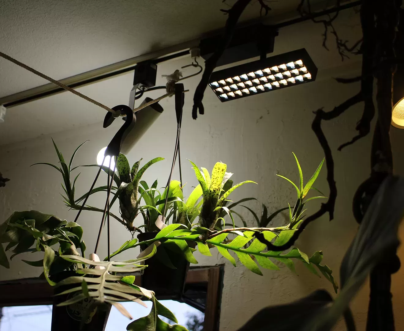 003392 LED SPOT LIGHT for PLANTS 30W