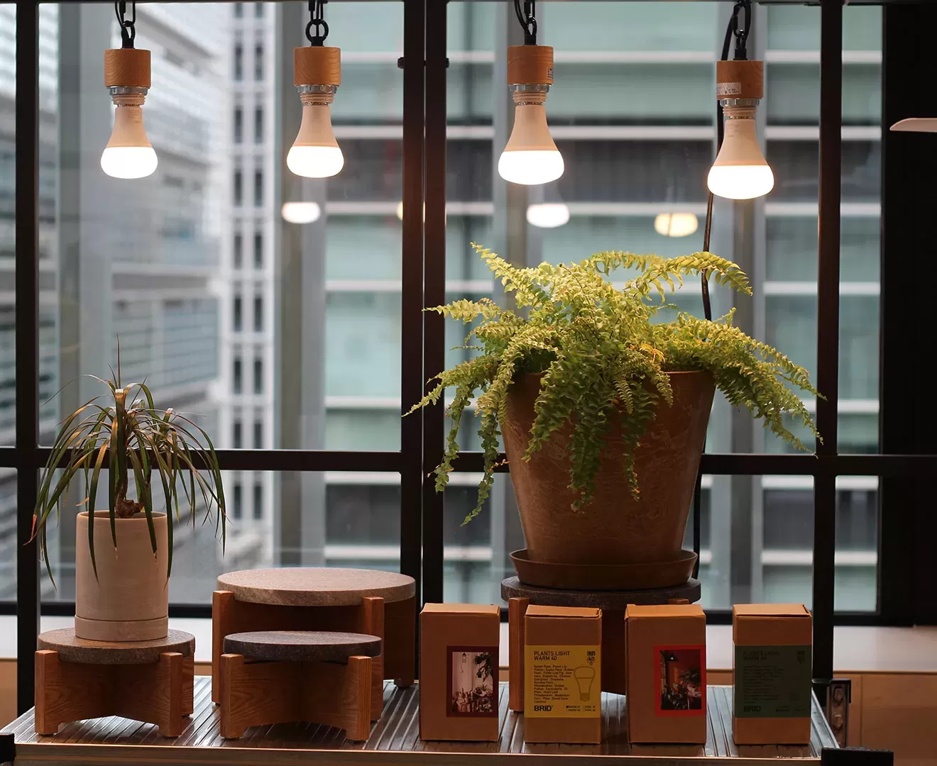 003380 PLANTS LIGHT 60W WARM