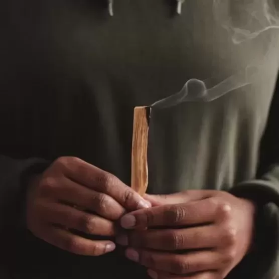Positive Energy Palo Santo Sticks (エクアドル産)