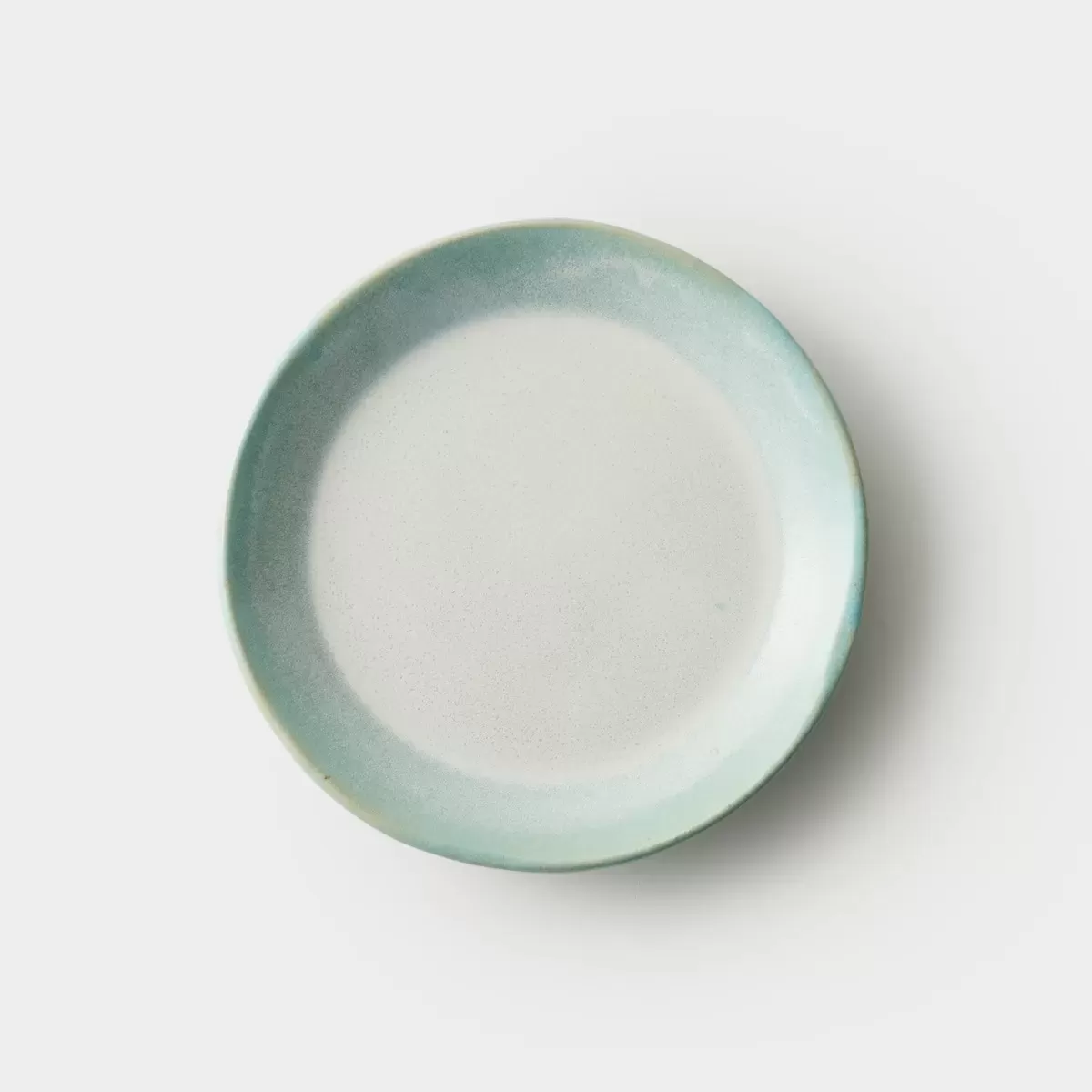 【信楽焼】信楽四季彩陶 －冬至　平皿　粉雪（こなゆき） φ18.8cm