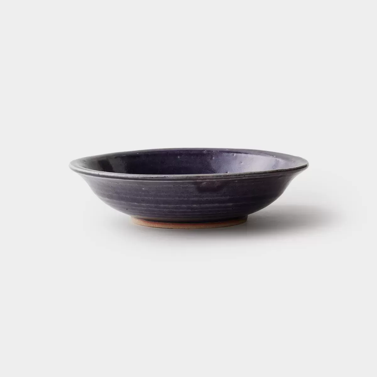 【信楽焼】信楽四季彩陶 －霜降　中深皿　紫苑（しおん）　φ20cm