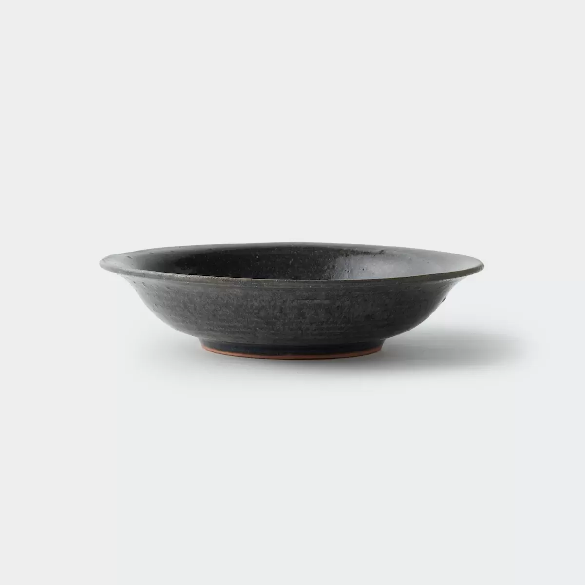 【信楽焼】信楽四季彩陶 －清明　中深皿　朧月（おぼろづき） φ20cm