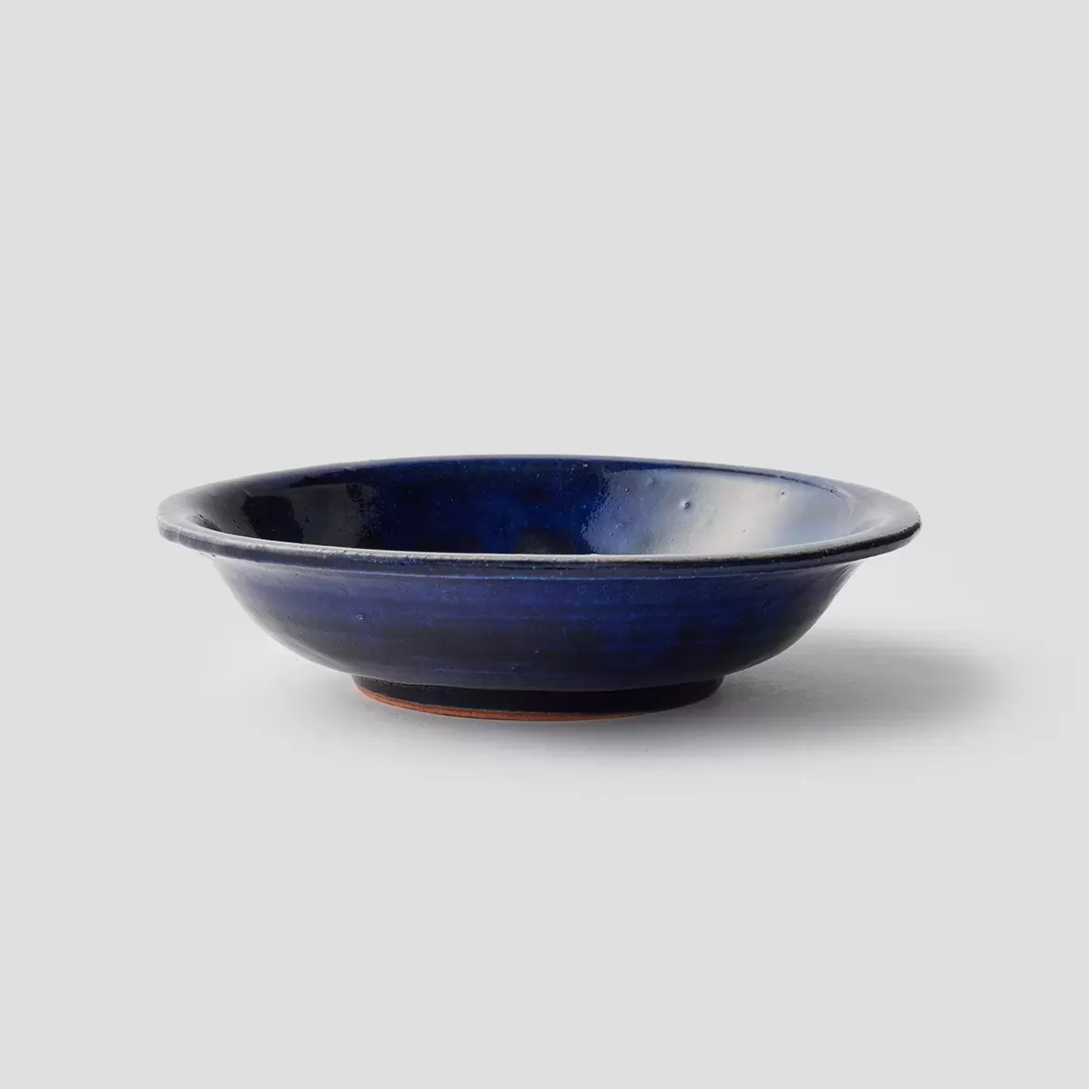 【信楽焼】信楽四季彩陶 －小寒　中深皿　寒昴（かんすばる）φ20cm