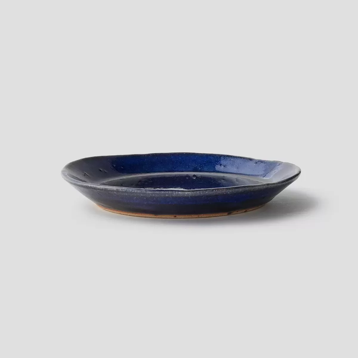 【信楽焼】信楽四季彩陶 －小寒　平皿　寒昴 （かんすばる） φ18.8cm