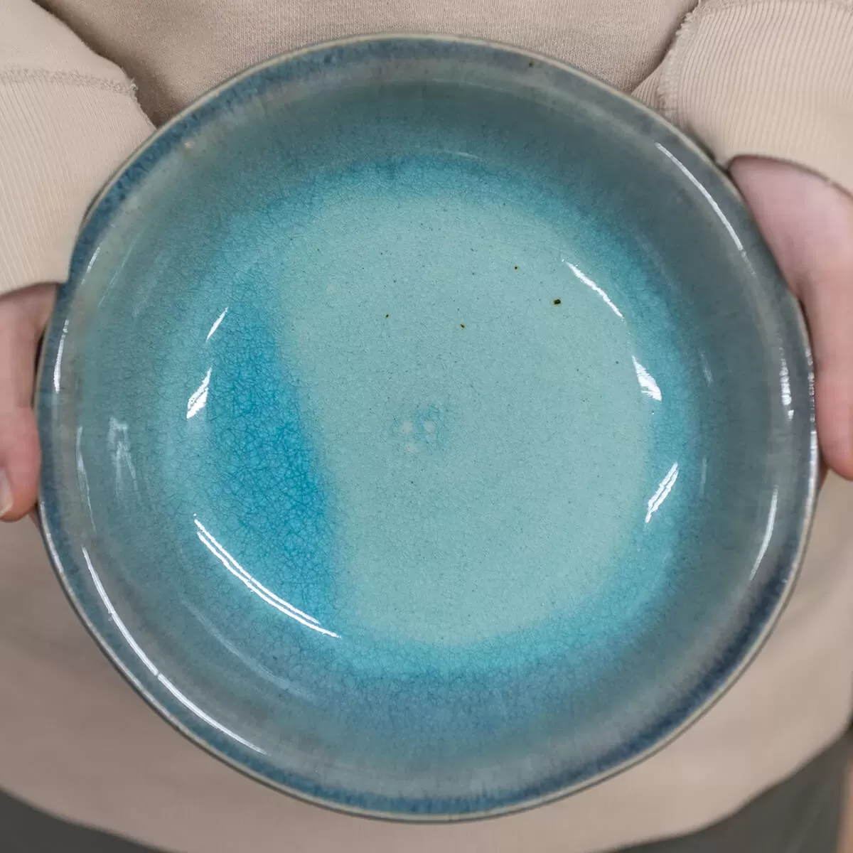 【信楽焼】信楽四季彩陶 －小寒　中深皿　しづり雪　φ20cm