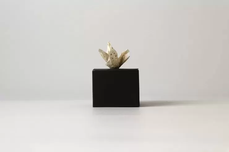 桃花少女散／도화소녀산
