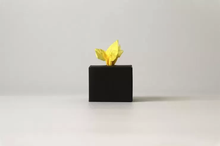 韓白珠／한백주