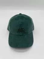 ステゴサウルスembroideryコーデュロイBBCAP