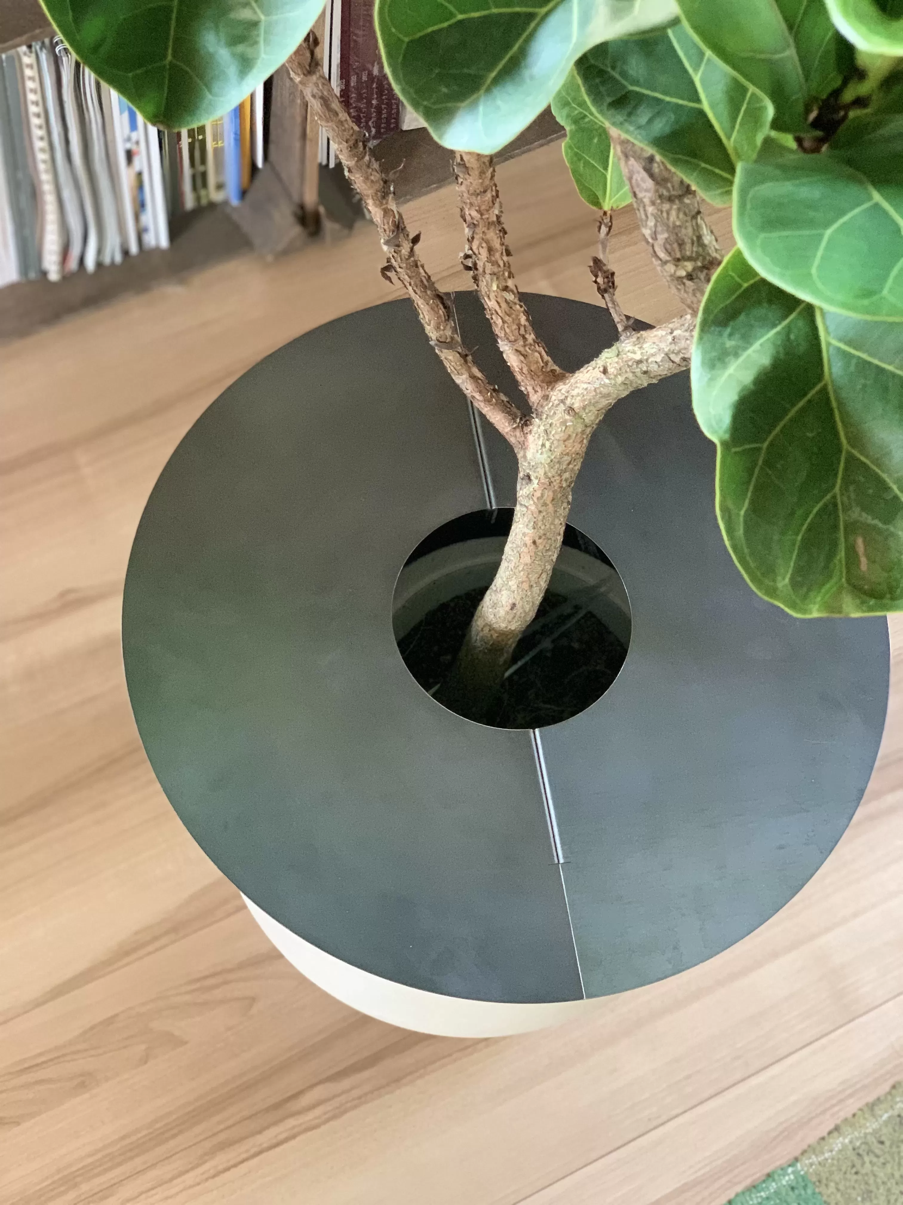 【植物と暮らす】METALプランターテーブルφ380 ブラック