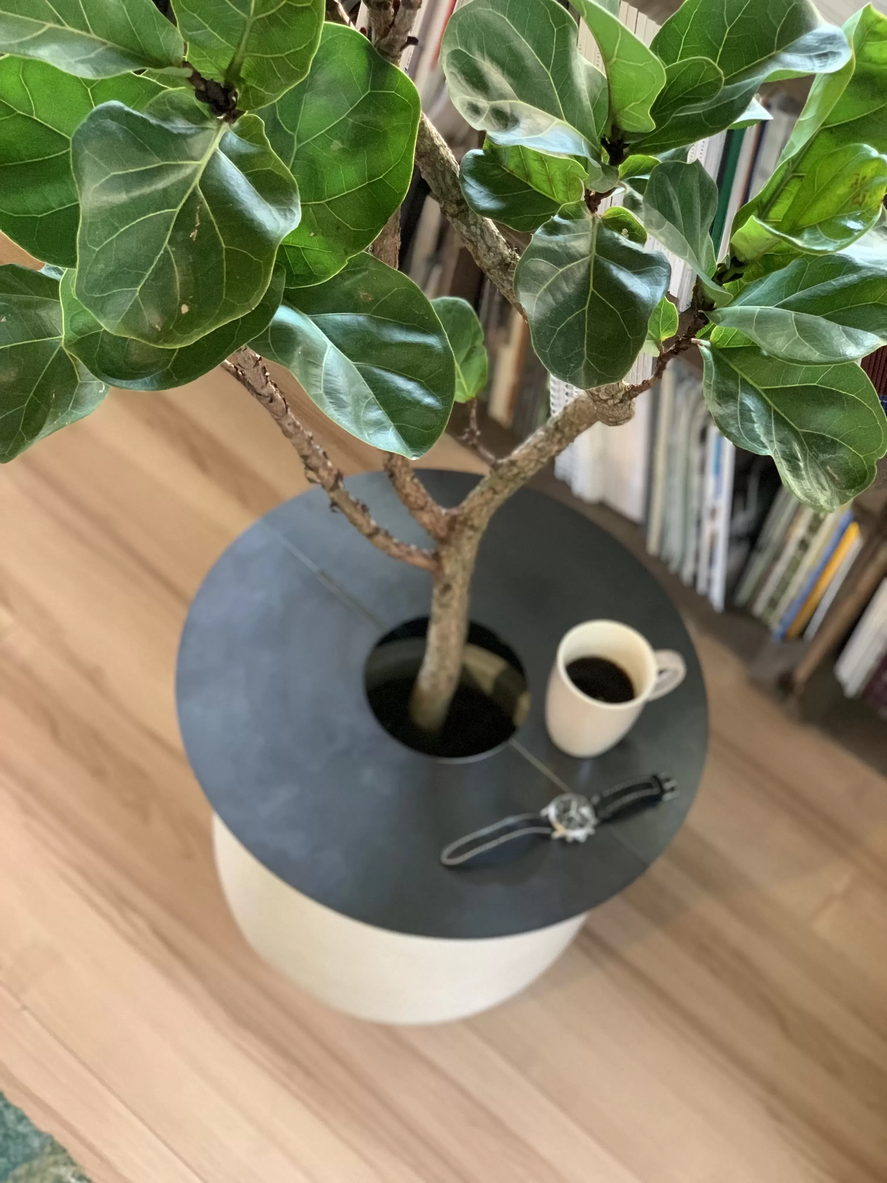 【植物と暮らす】METALプランターテーブルφ380 ブラック