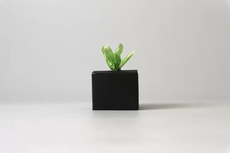 アルガン／아르간