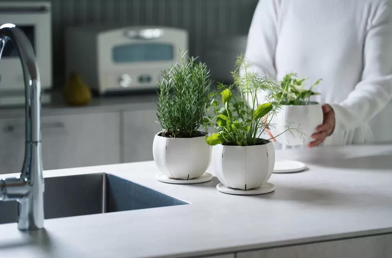 ローリーポット丸　S　GY