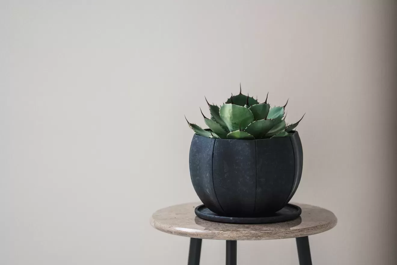 ローリーポット丸　S　BK