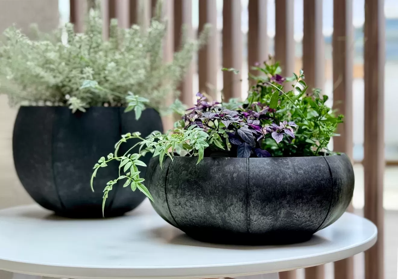 ローリーポット丸　浅型　M　WH