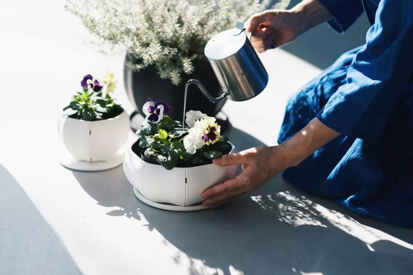 ローリーポット丸　浅型　M　WH