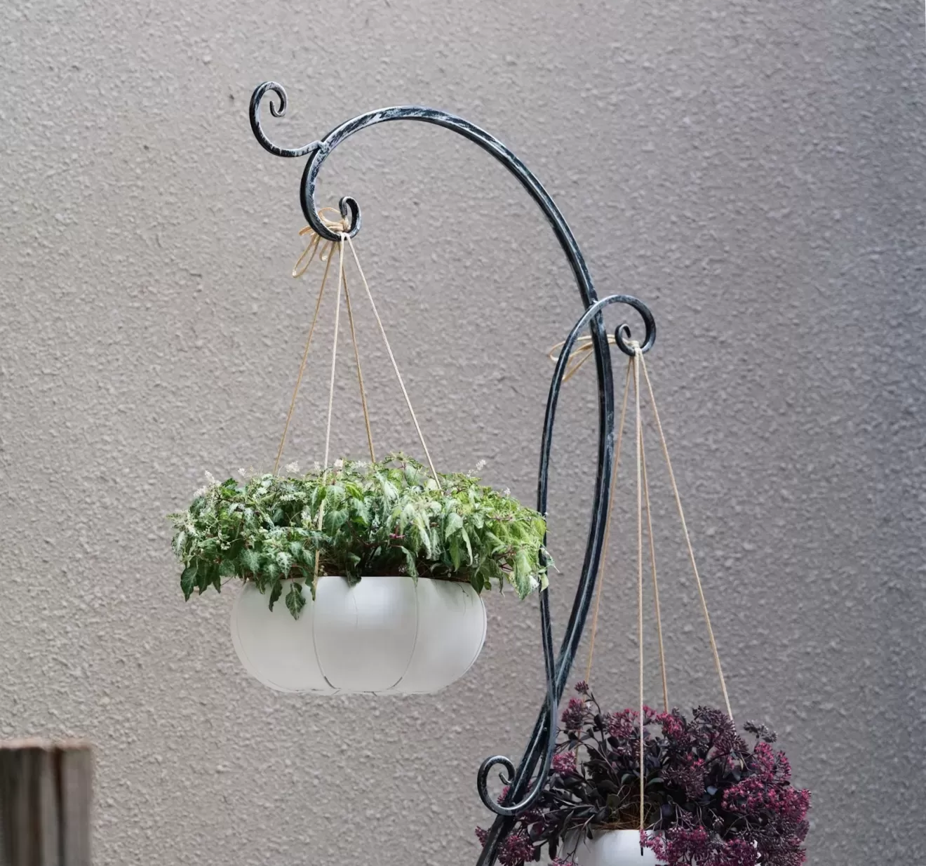 ローリーポット丸　浅型　M　GY