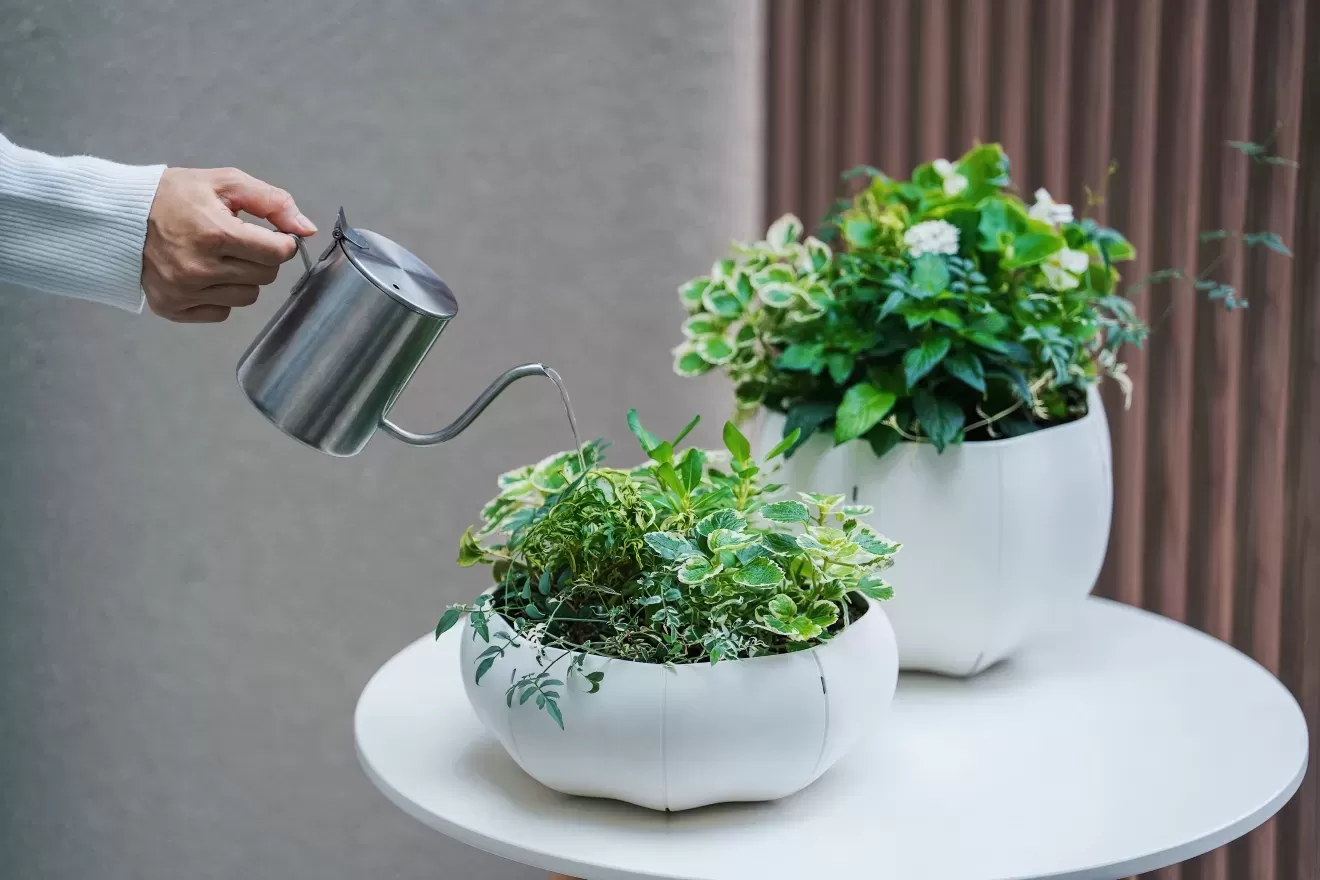 ローリーポット丸　浅型　M　BK