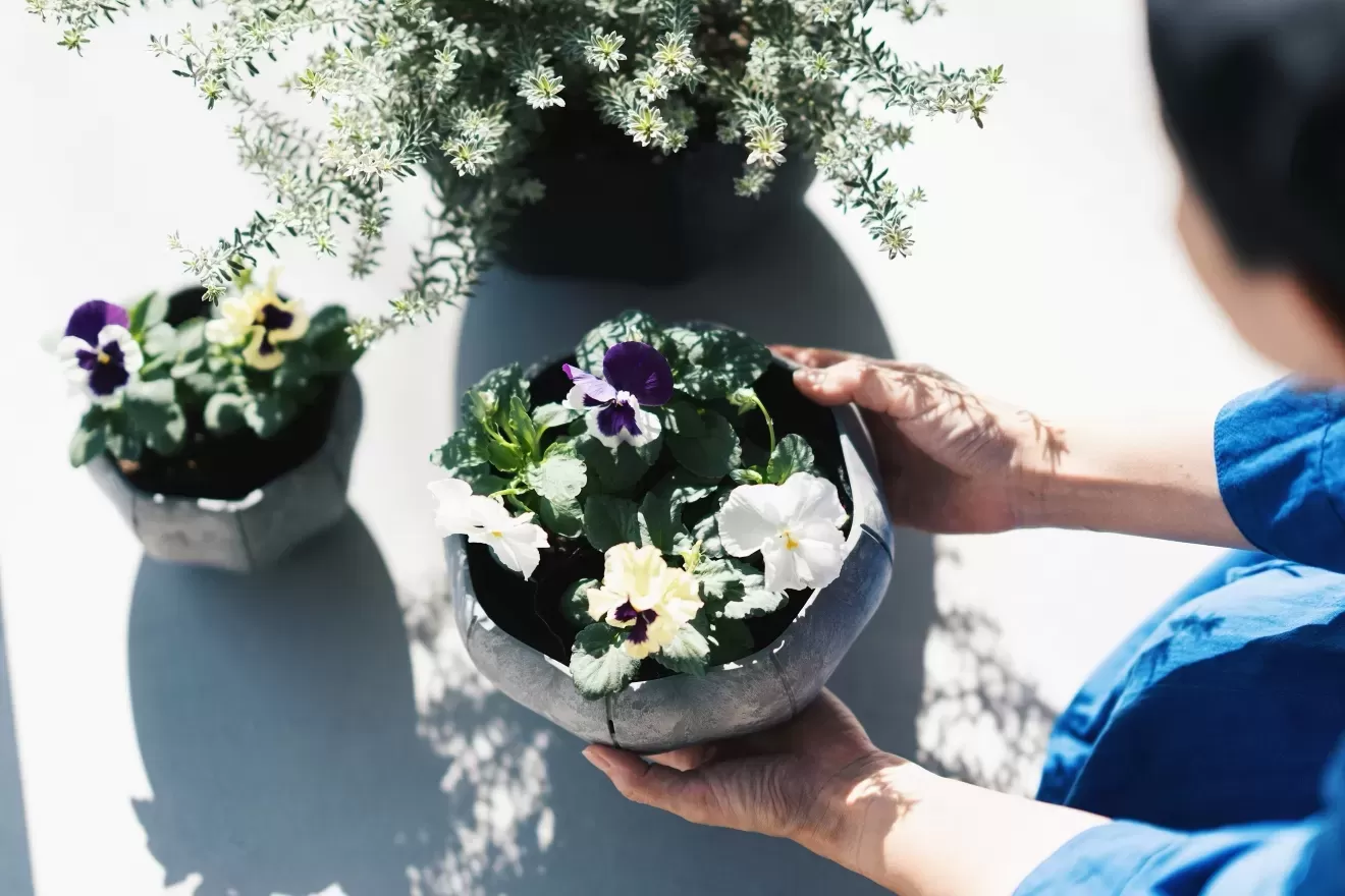 ローリーポット丸　浅型　M　BK