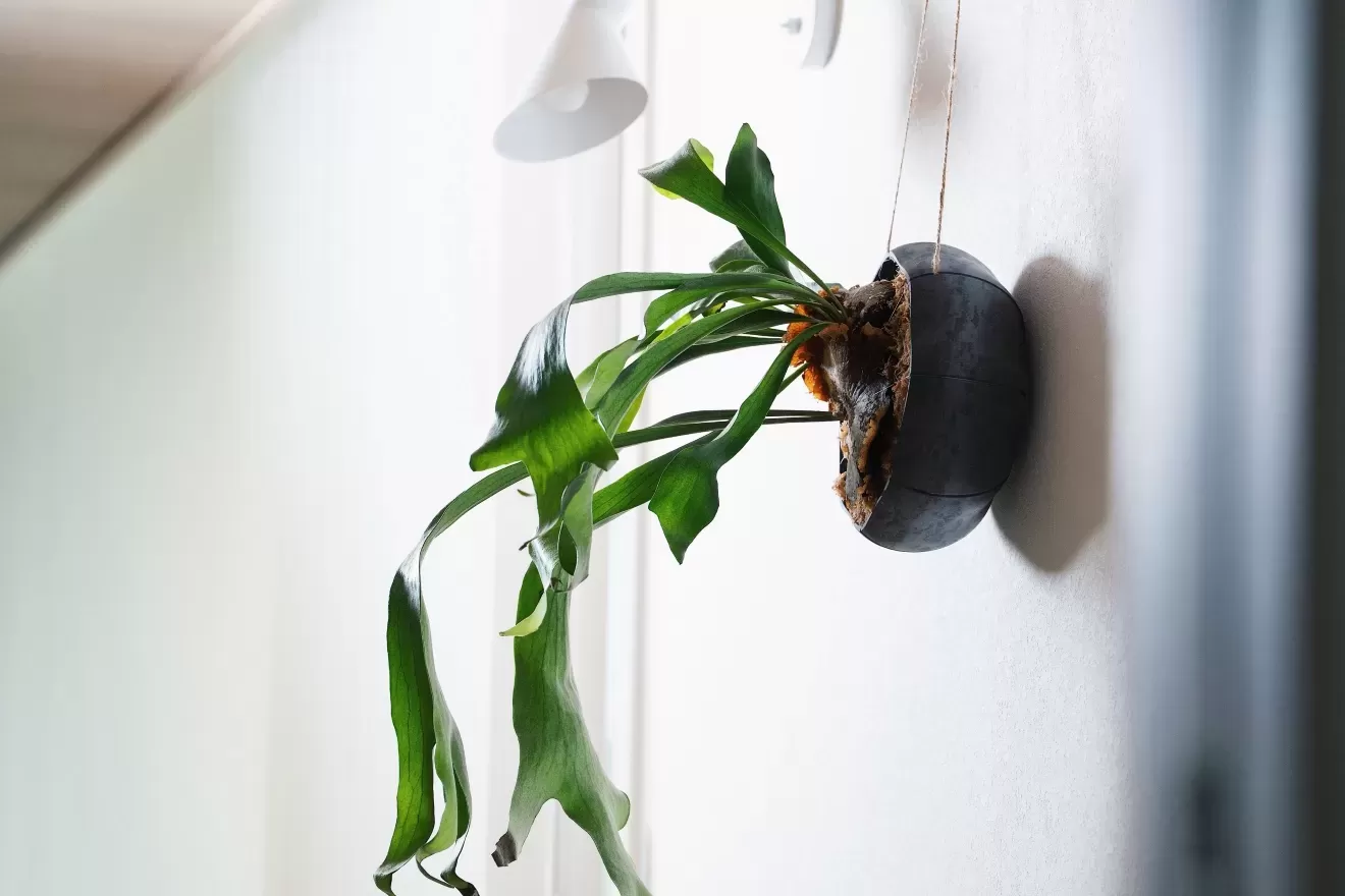 ローリーポット丸　浅型　L　GY