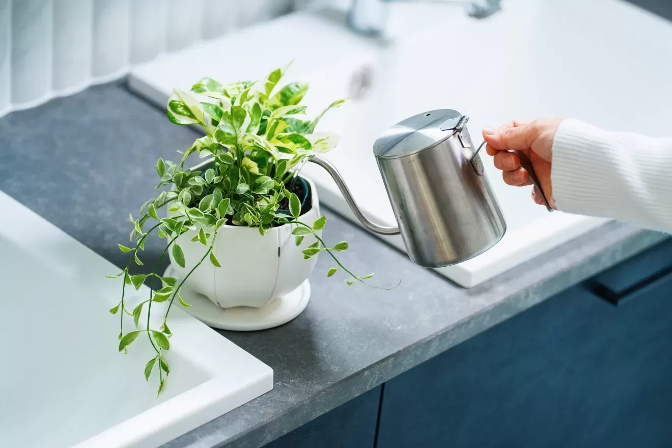 Sen　プレート丸　M　GY