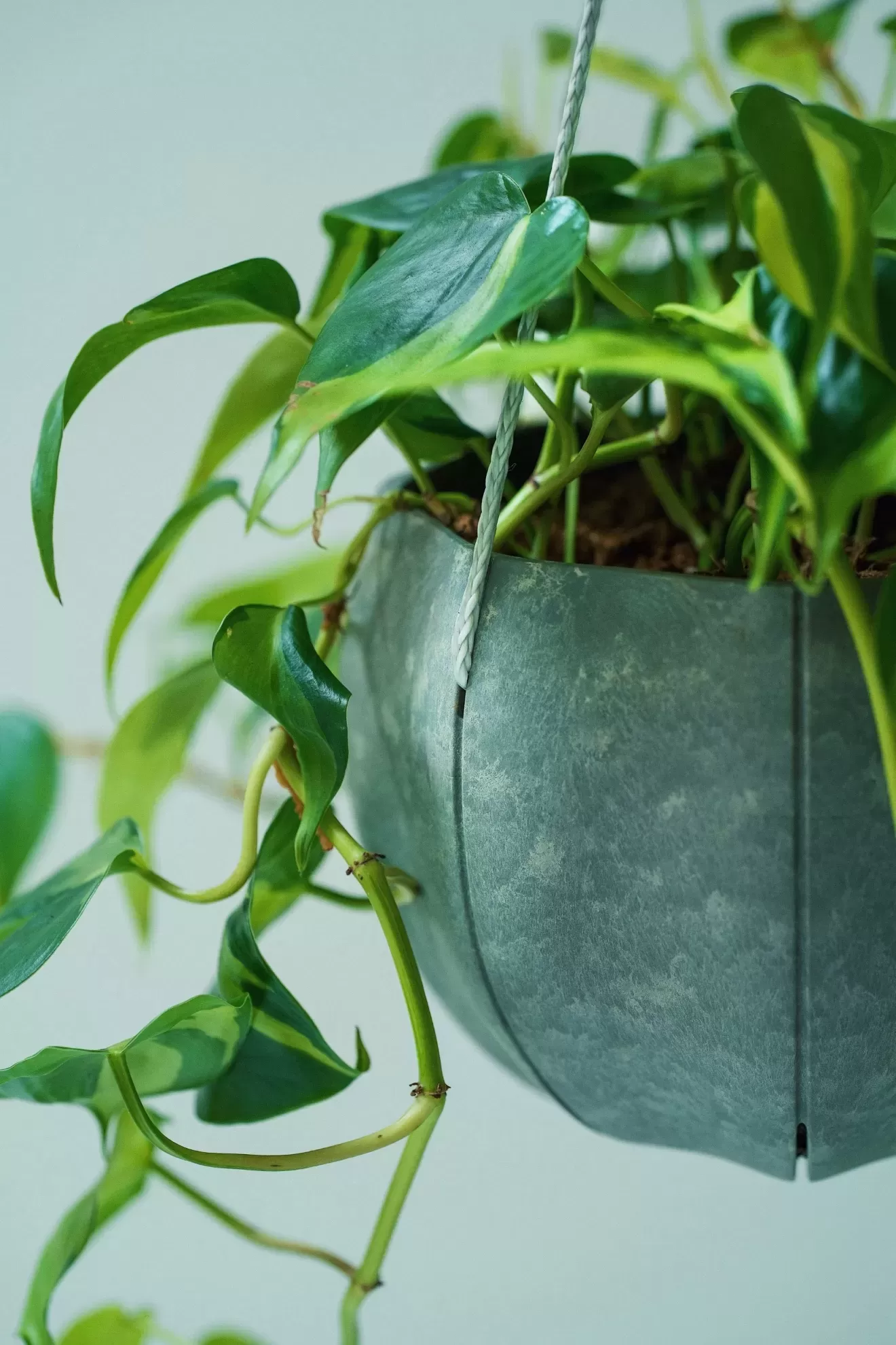 Senシリーズ専用ロープ（Sフック付き）　WH