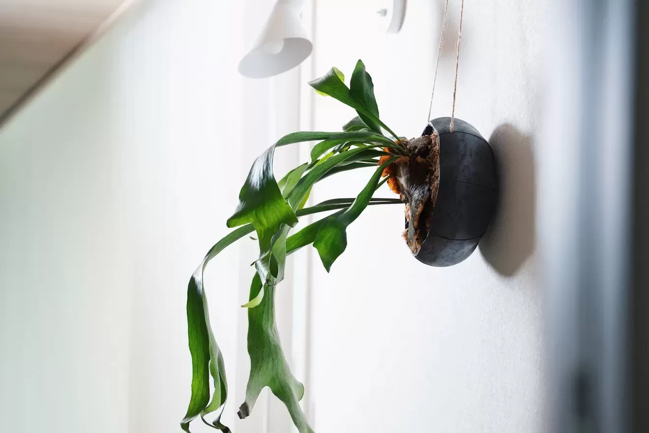 Senシリーズ専用ロープ（Sフック付き）　GY