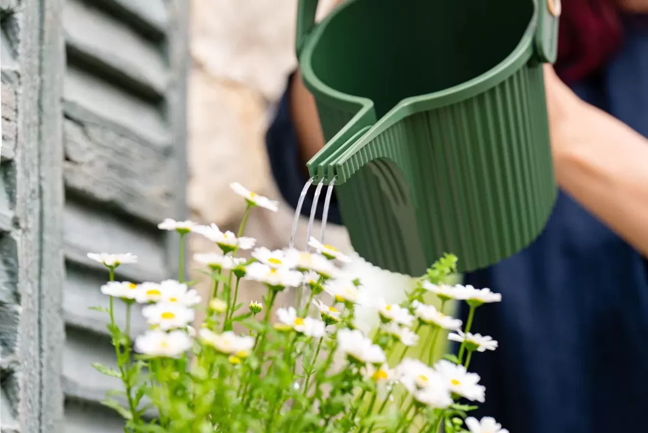 ガーデンビートル　1.5L　DGR