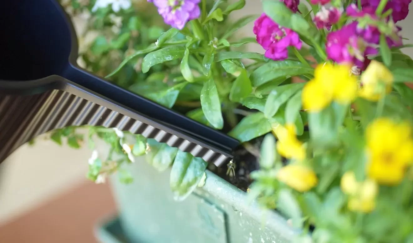 ガーデンビートル　1.5L　BK