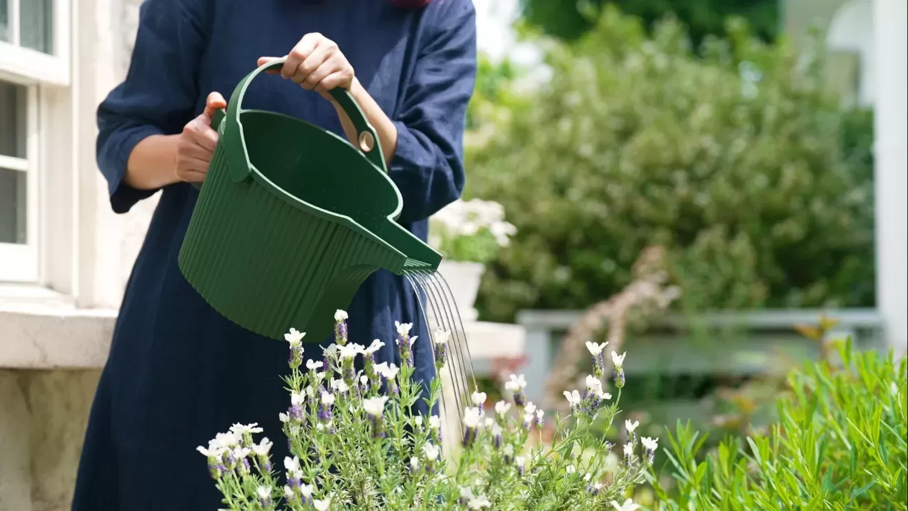 ガーデンビートル　5L　DGR