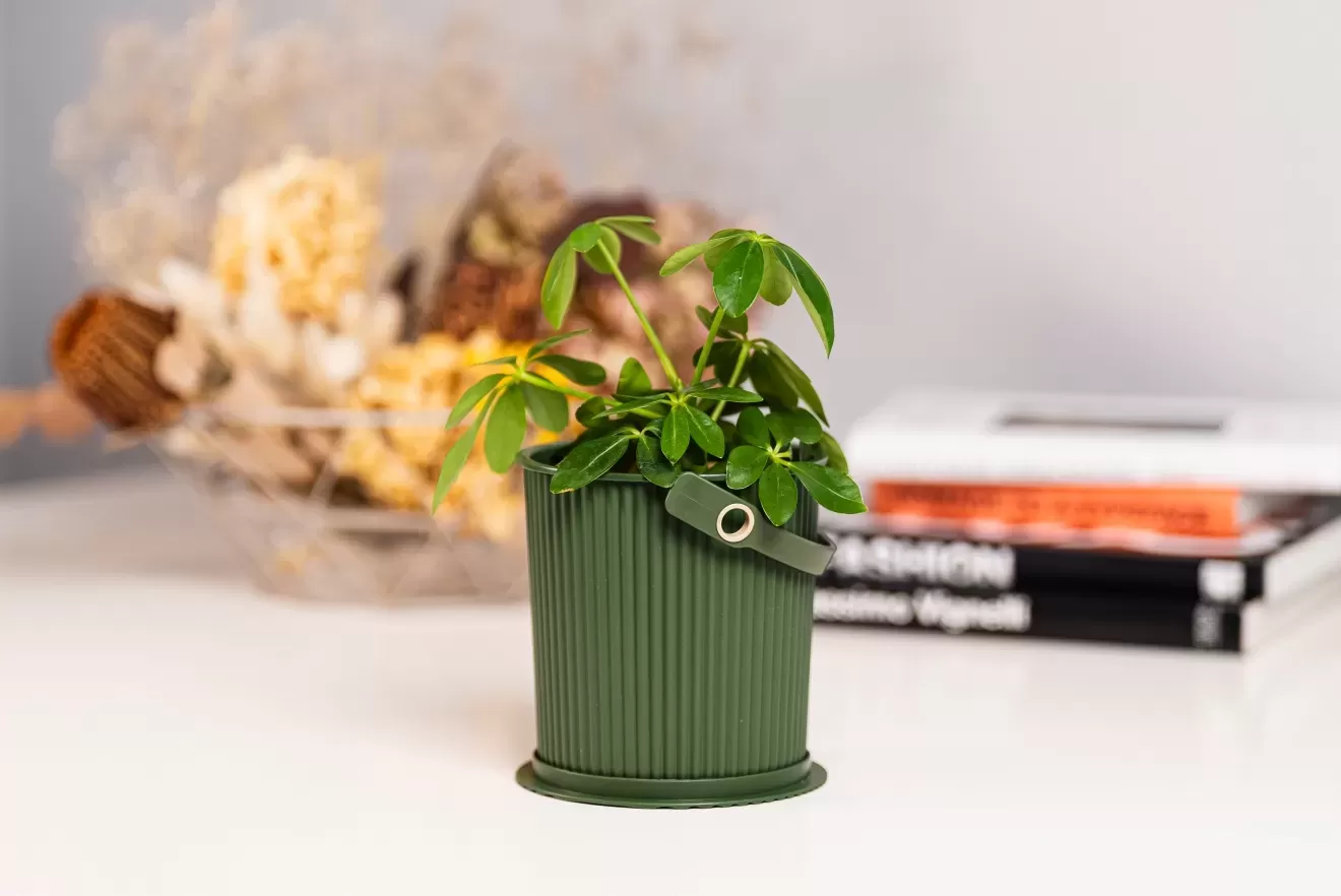 ガーデンツールバケット　0.7L　DGR