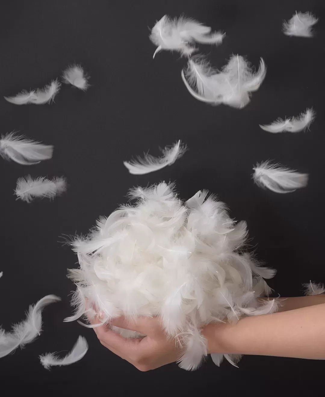 Cushion　VC-10PGR/YE