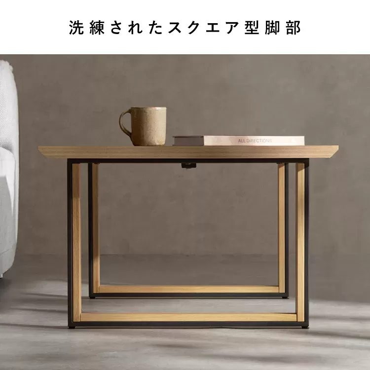 センターテーブル Roano（ロアーノ）CT-N1060