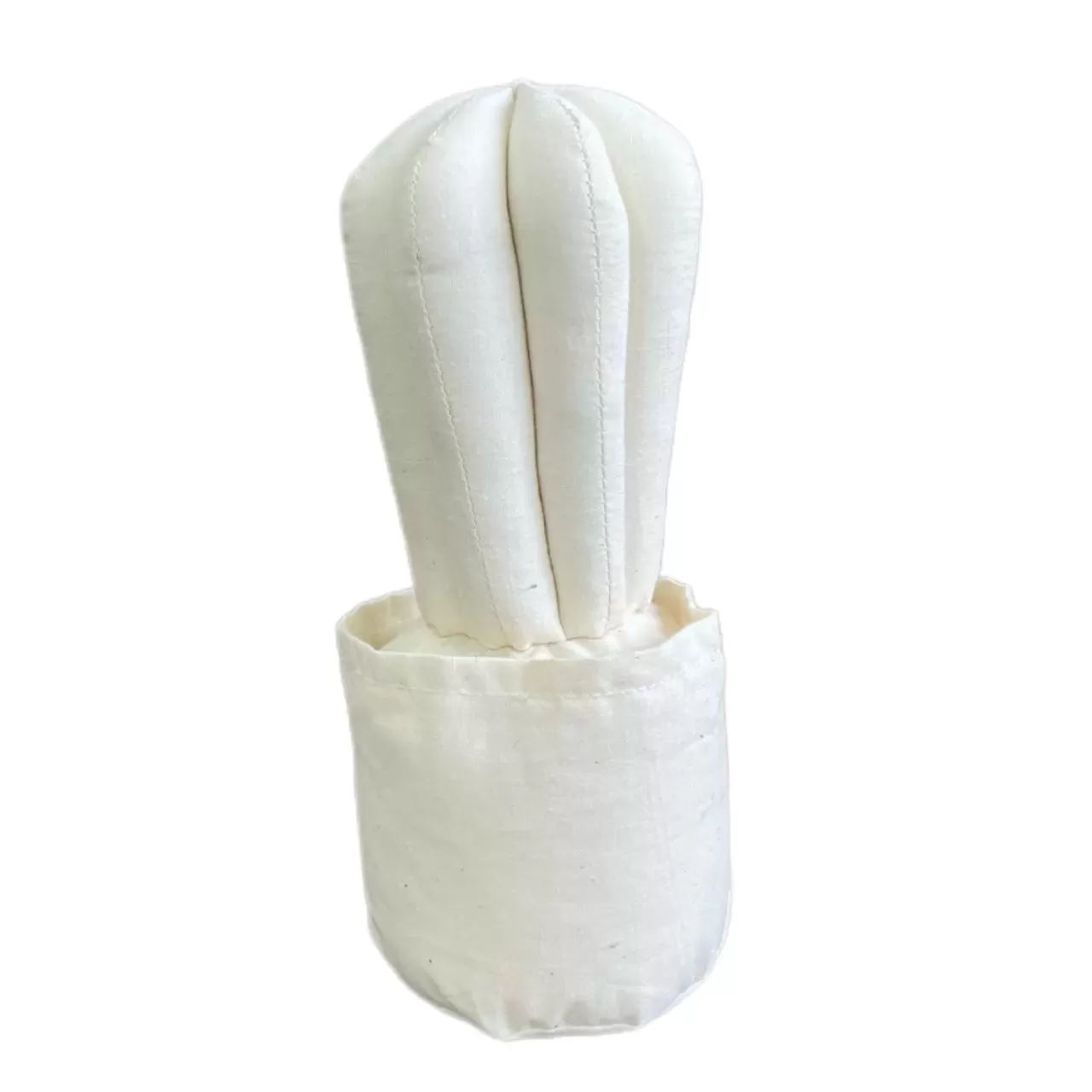 サボテン　ストレート　Mサイズ