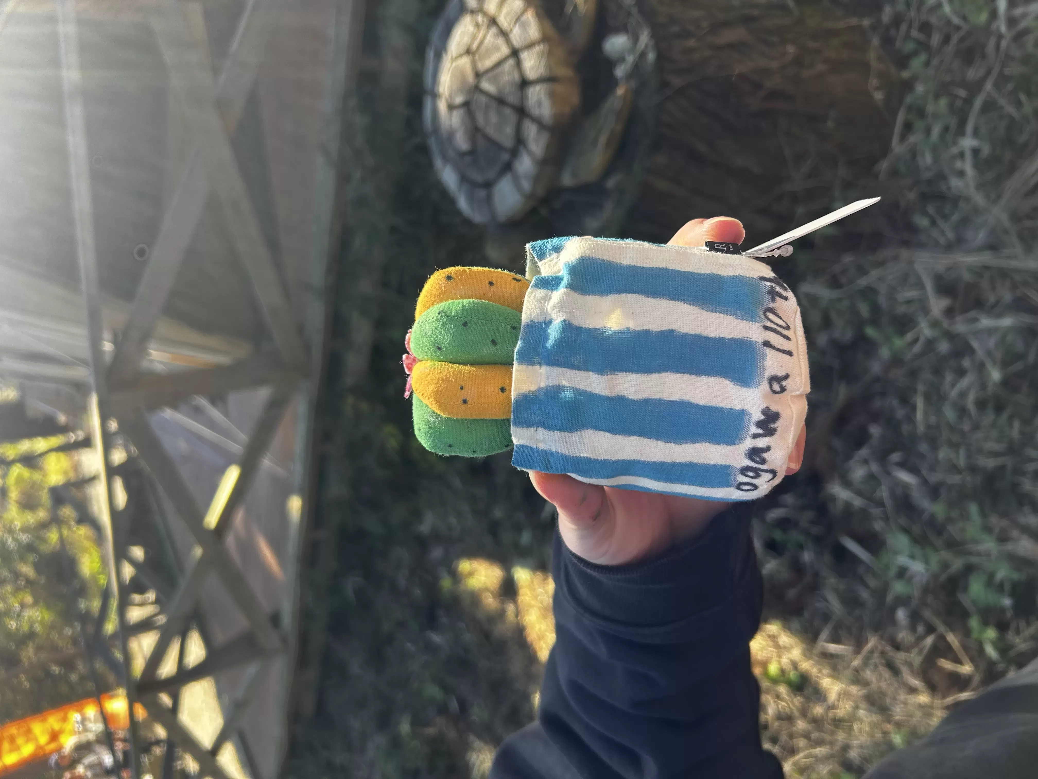 サボテン　ラウンド　Mサイズ