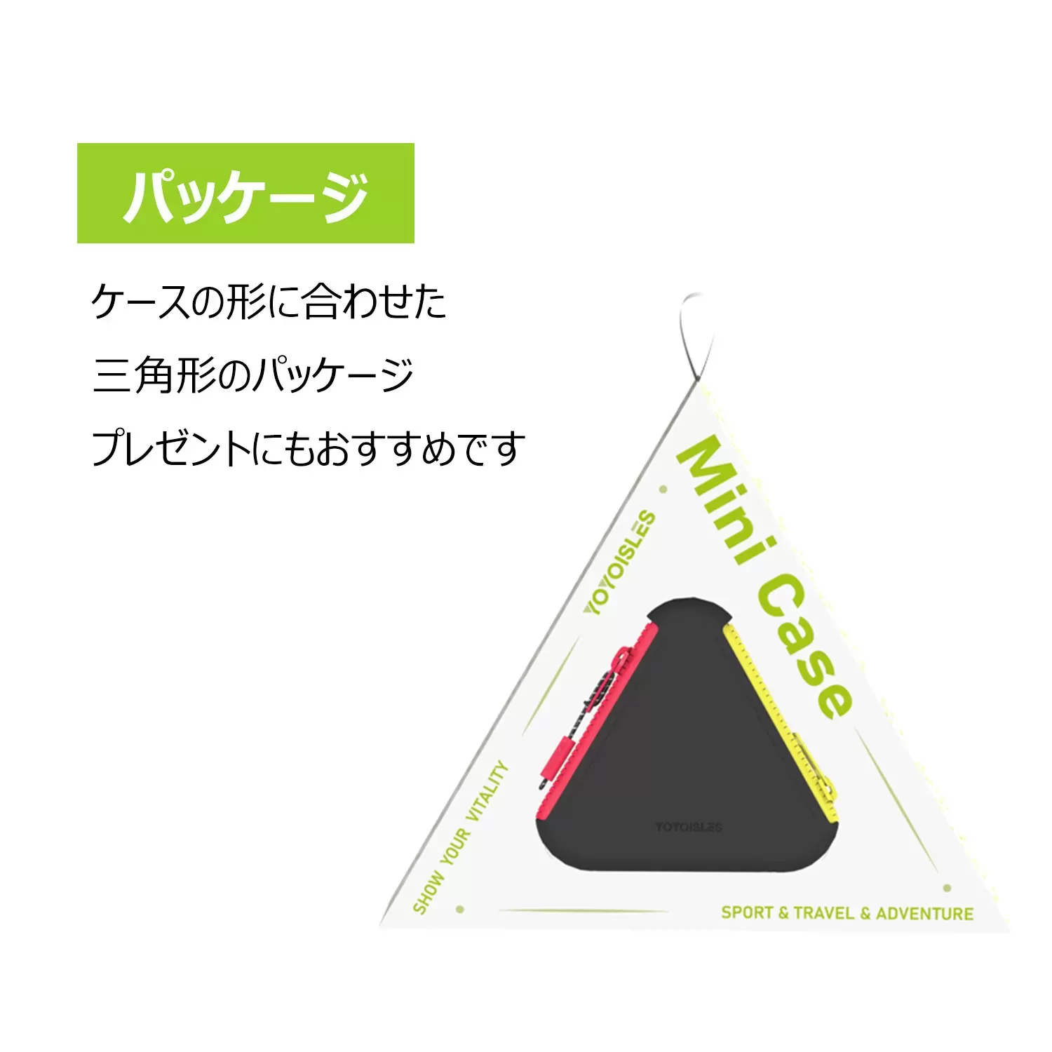 Air2 Series Mini Case