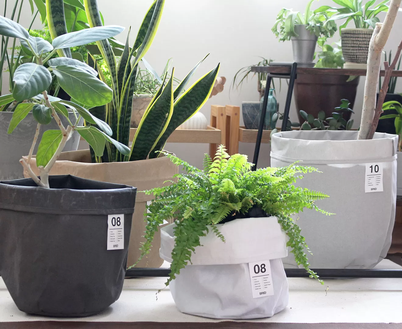 003387 PLANTER COVER_10