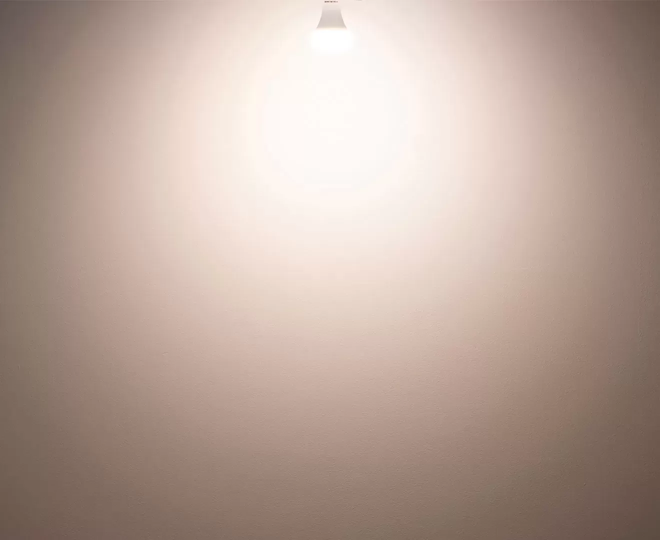 003382 PLANTS LIGHT60 COOL