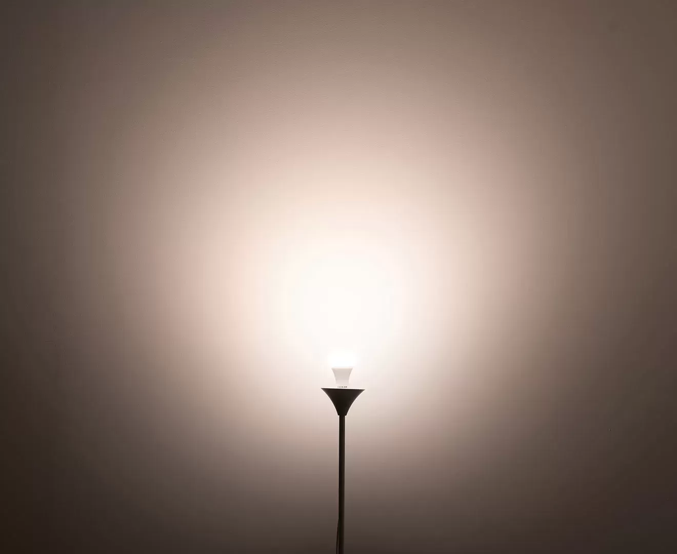 003382 PLANTS LIGHT60 COOL