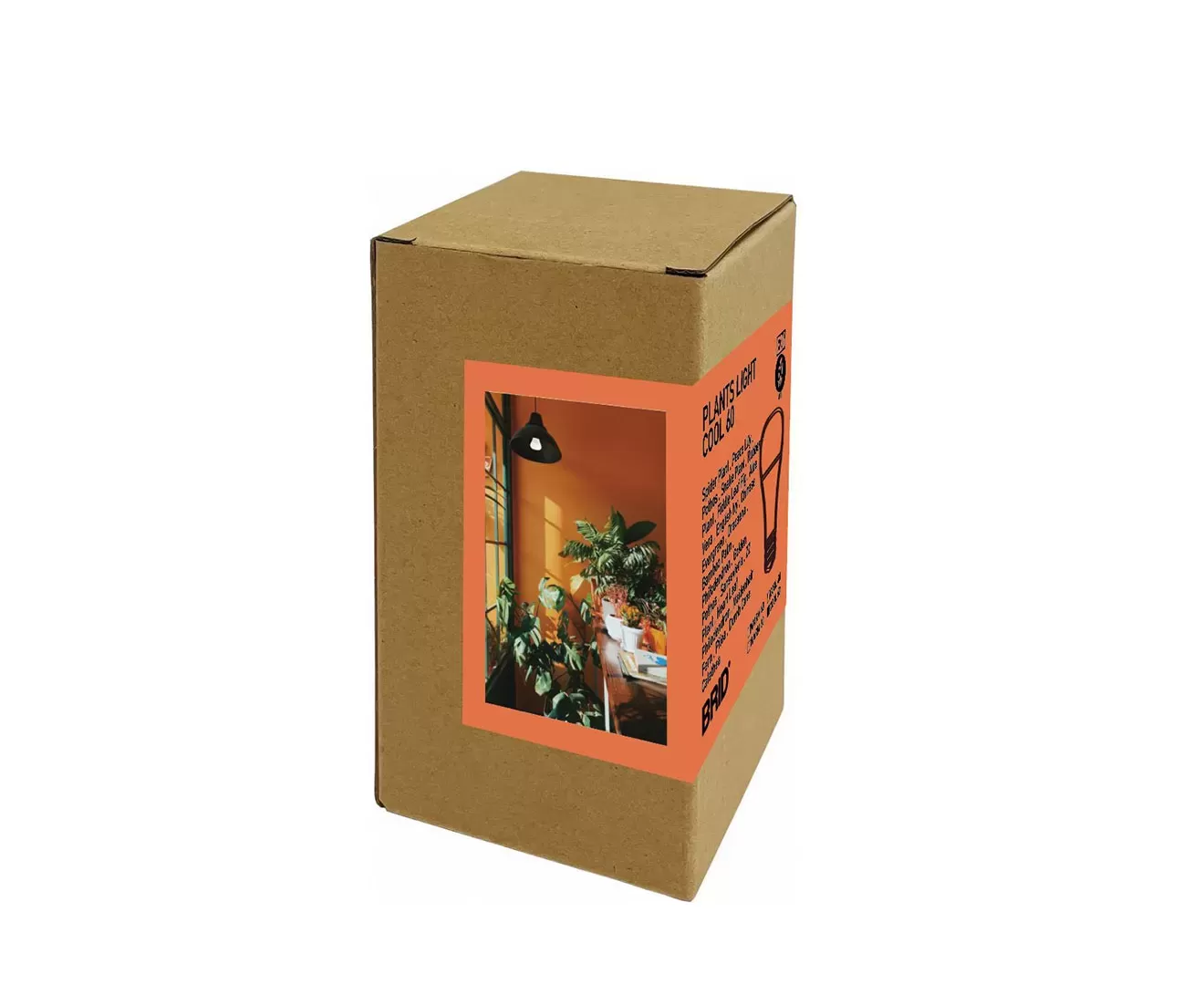 003382 PLANTS LIGHT60 COOL