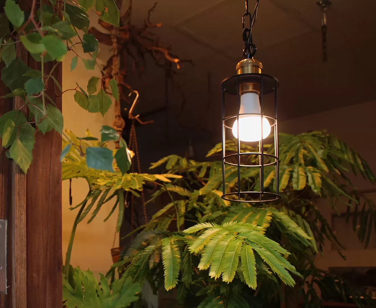 003382 PLANTS LIGHT60 COOL