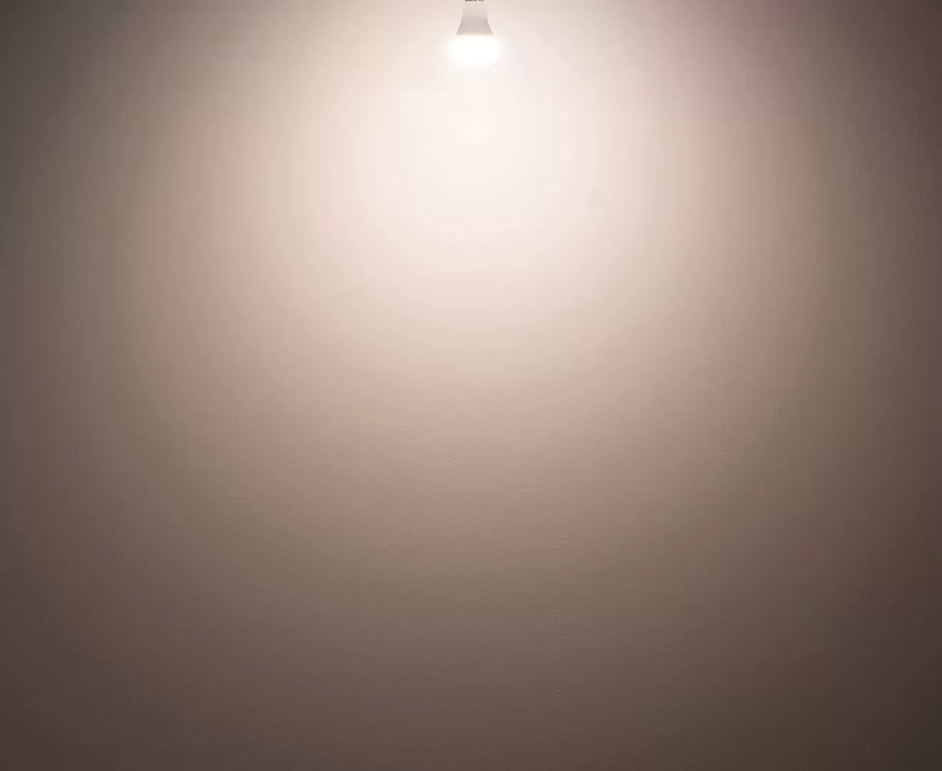 003381 PLANTS LIGHT40 COOL