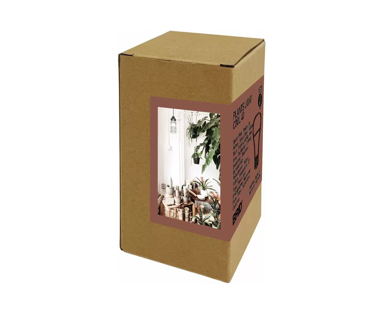 003381 PLANTS LIGHT40 COOL