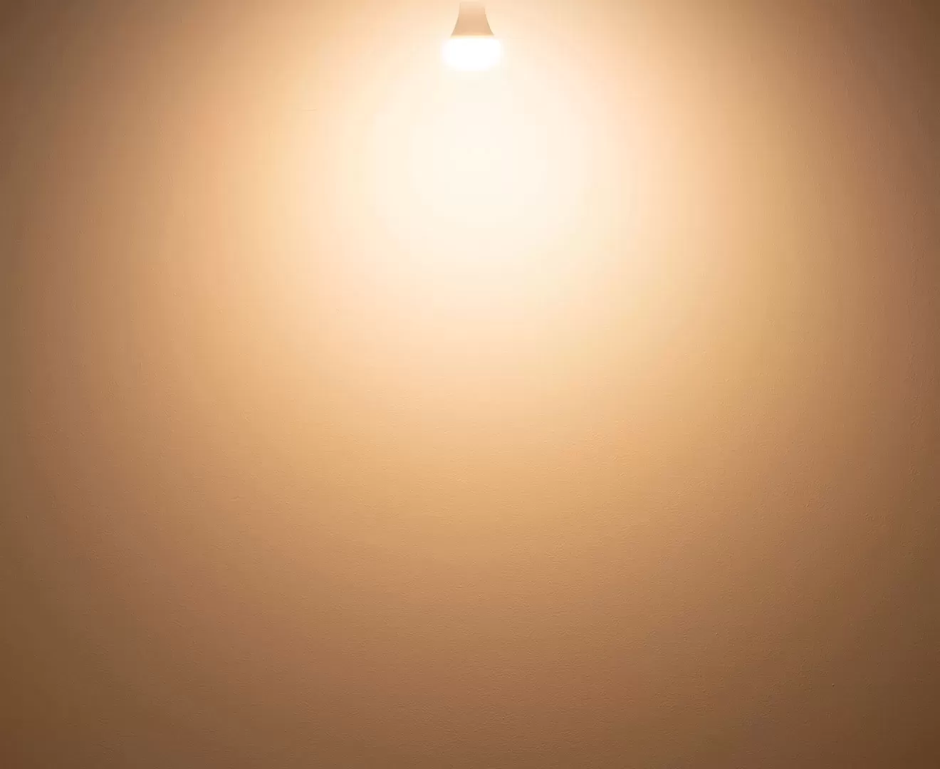 003380 PLANTS LIGHT 60W WARM