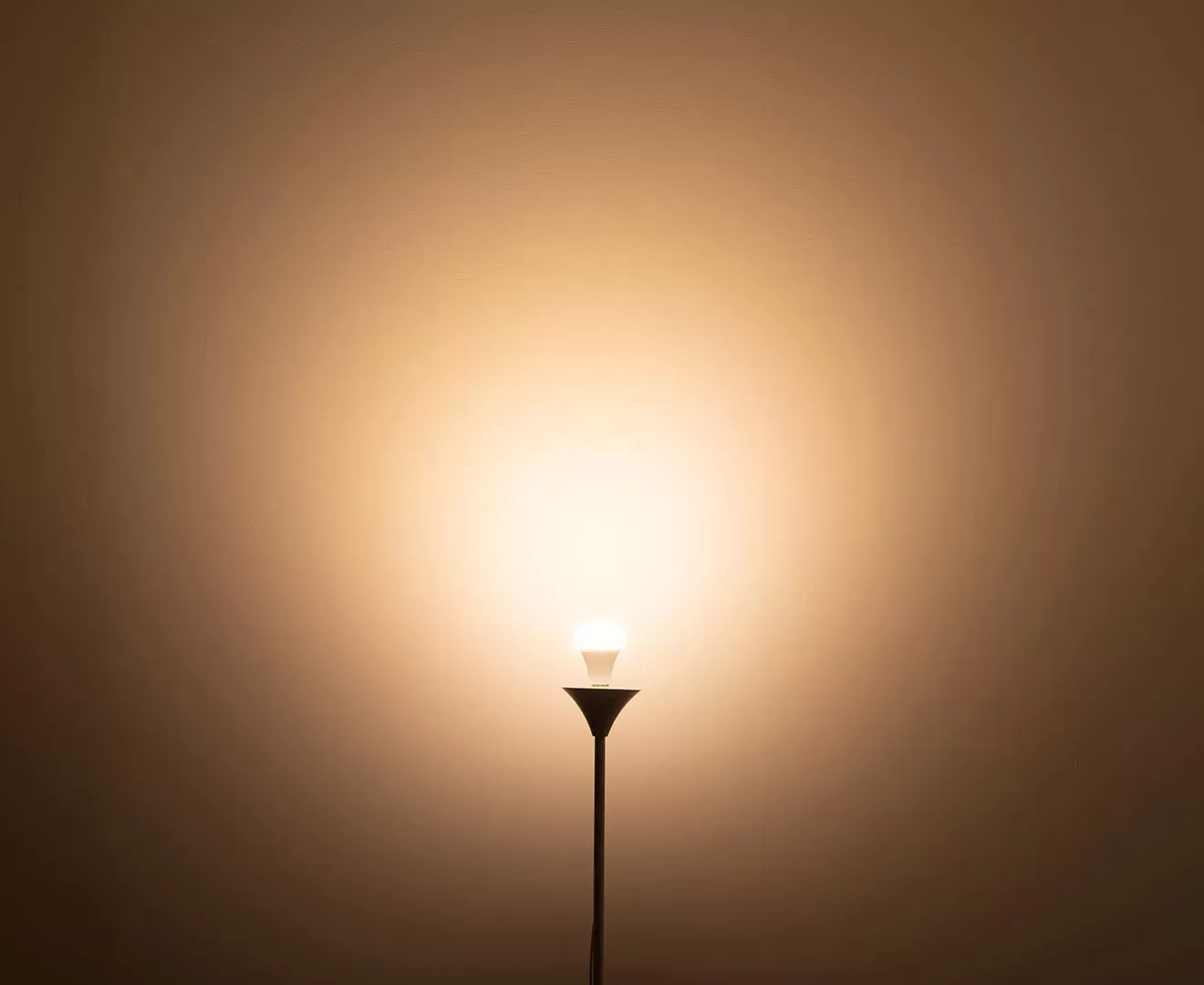 003380 PLANTS LIGHT 60W WARM