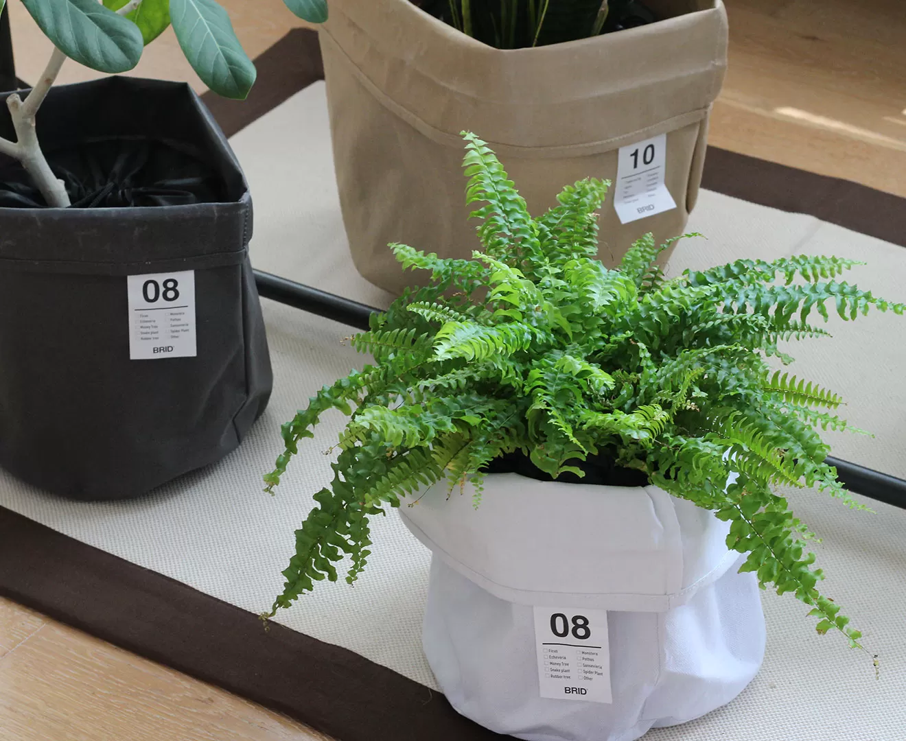 003386 PLANTER COVER_8