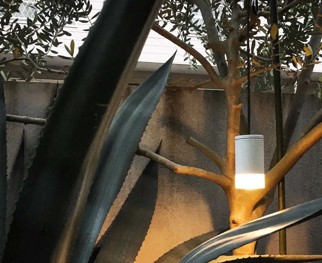 002989 PORTABLE LED LIGHT by GENERAL