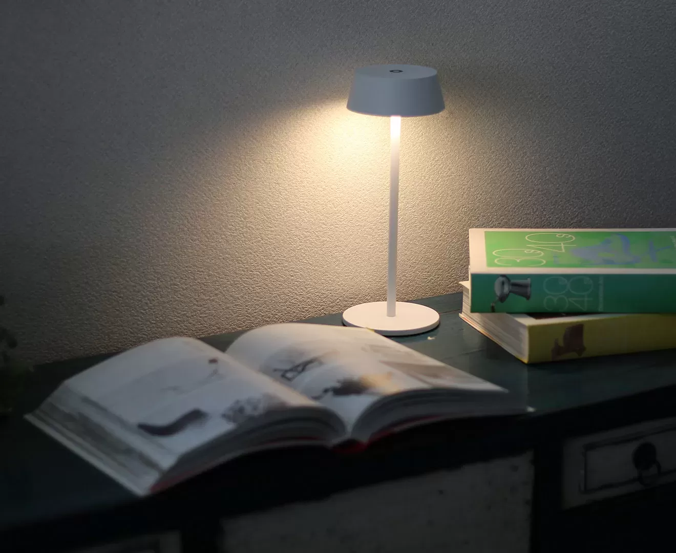 003400 OLIKA CORDLESS LED LIGHT