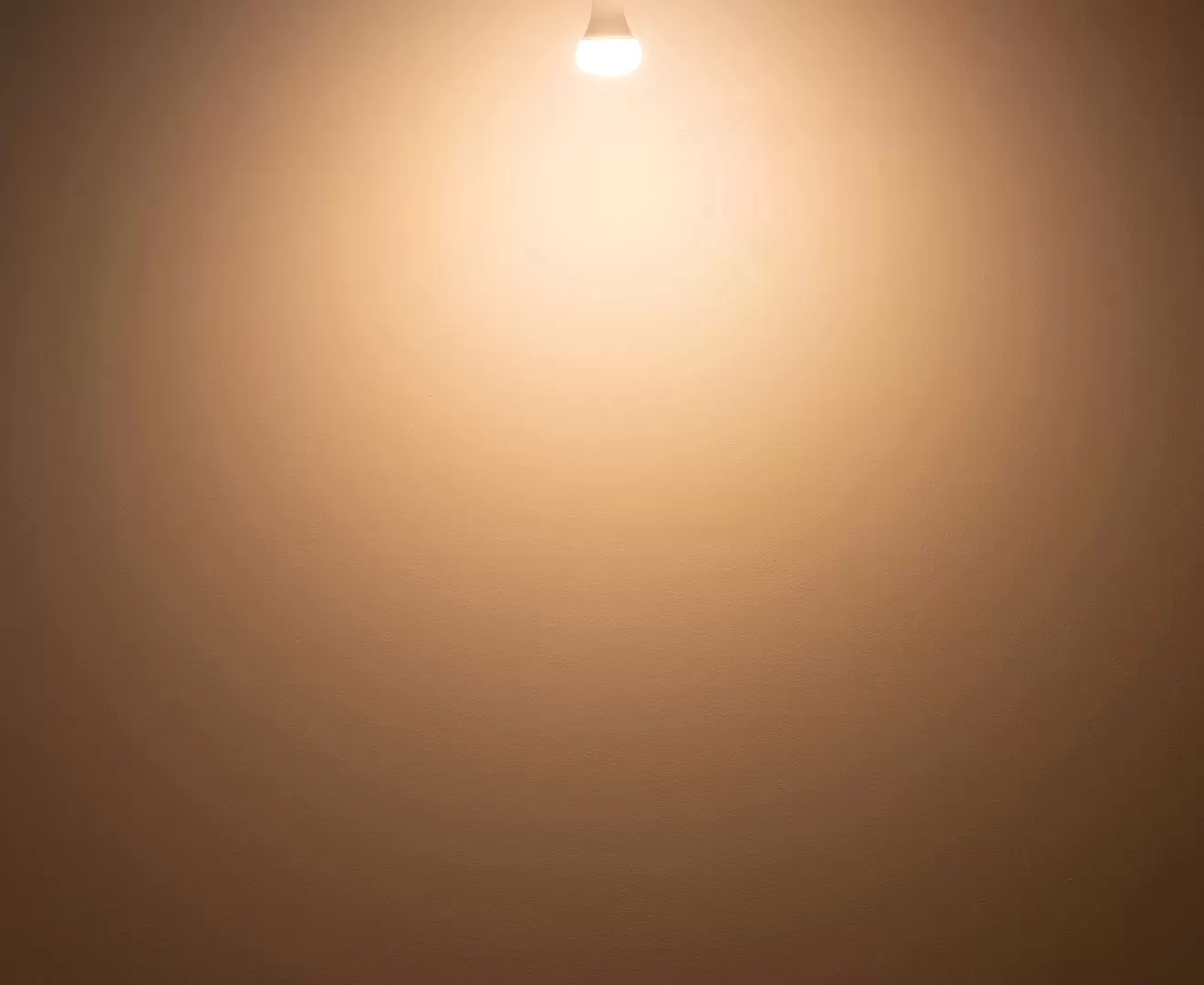 003379 PLANTS LIGHT 40 WARM